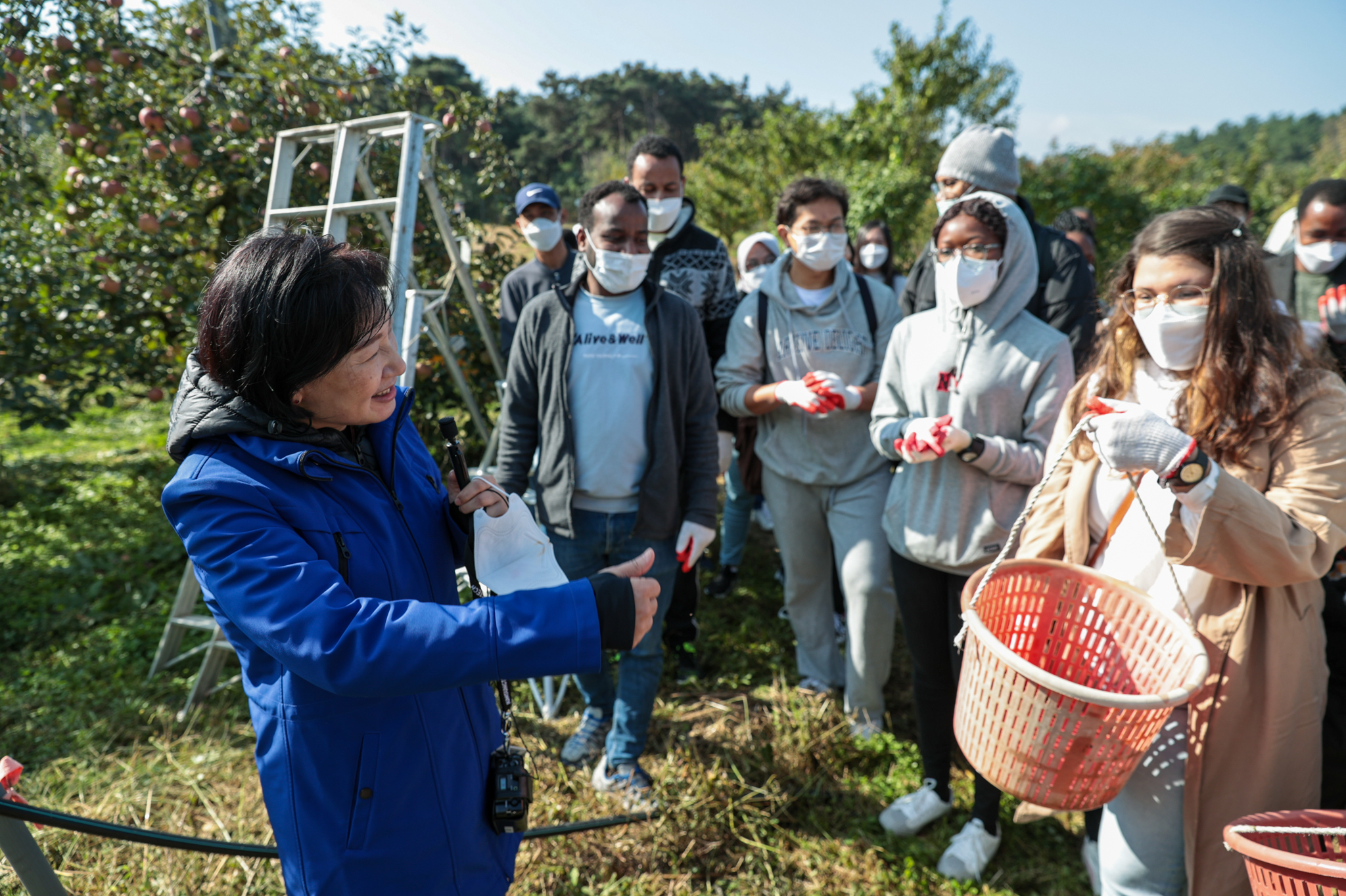 Apple picking event